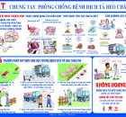 ANT - Cùng chung tay phòng chống dịch tả heo Châu Phi